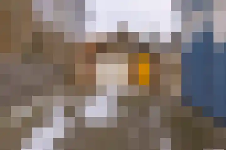 De Weegbree 22 Stadskanaal thumbnail 36