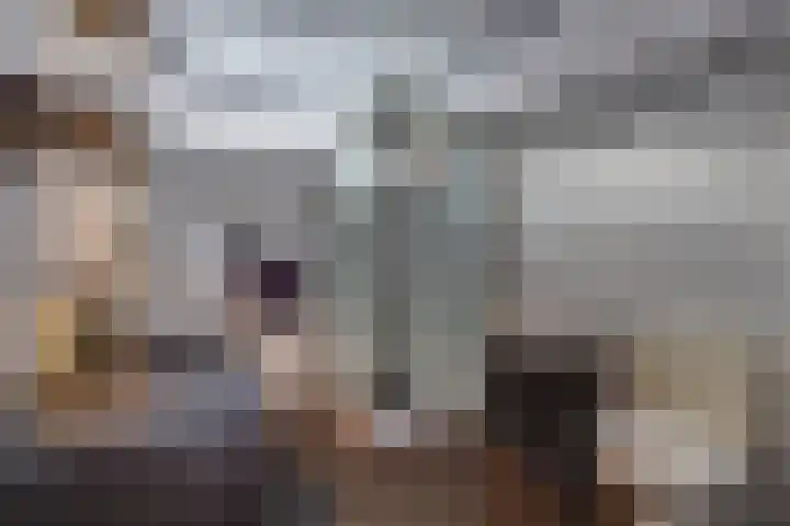 De Weegbree 22 Stadskanaal thumbnail 4
