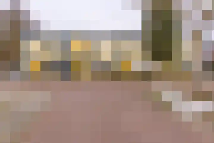 De Weegbree 22 Stadskanaal thumbnail 8