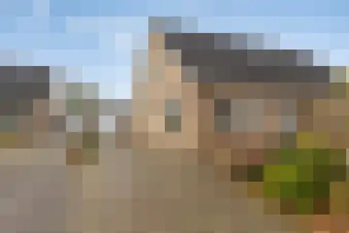 de Weegbree 38 en Gieten