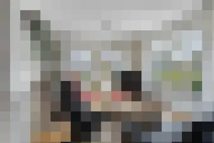 de Weegbree 38 Gieten thumbnail 10