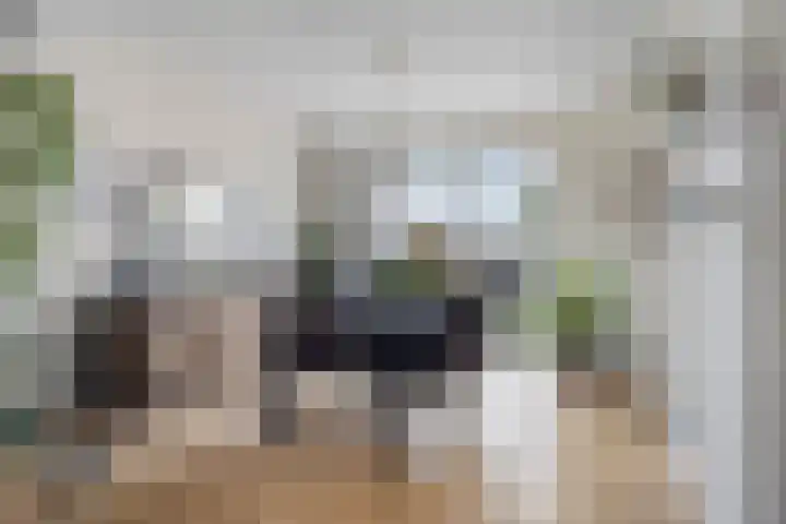 de Weegbree 38 Gieten thumbnail 12