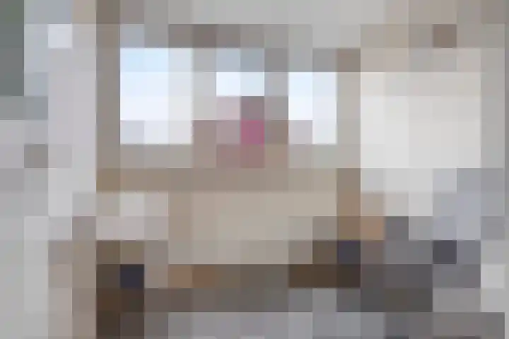 de Weegbree 38 Gieten thumbnail 20