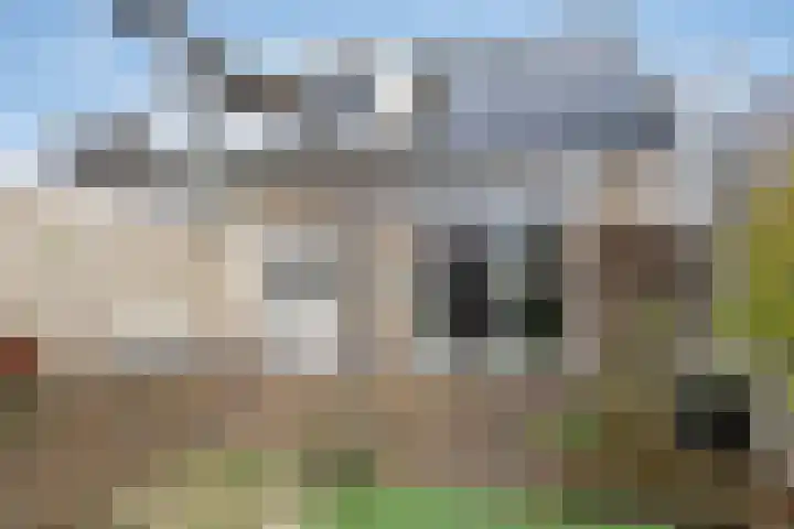de Weegbree 38 Gieten thumbnail 24