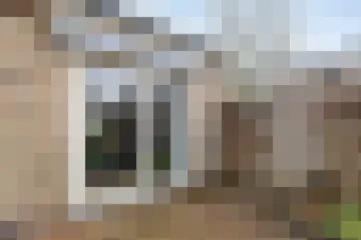 de Weegbree 38 Gieten thumbnail 25