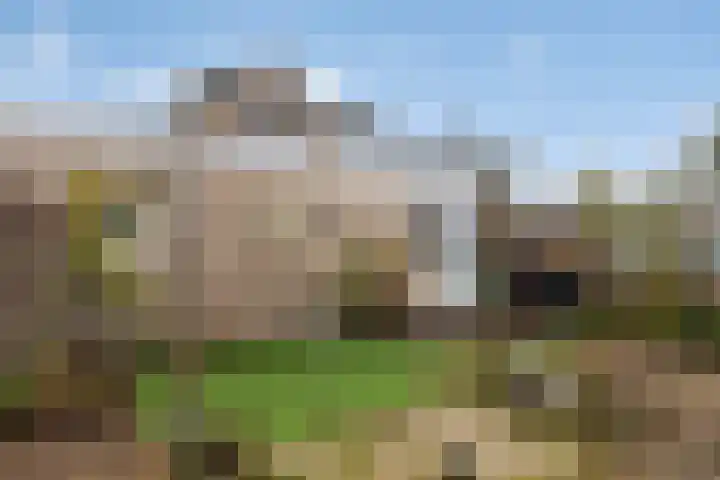 de Weegbree 38 Gieten thumbnail 26