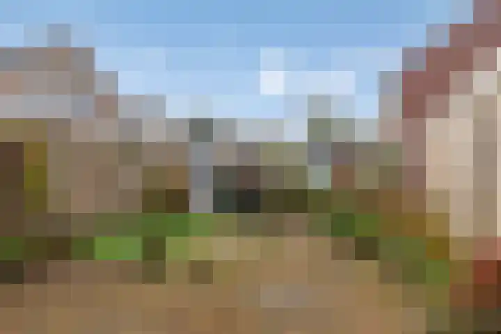 de Weegbree 38 Gieten foto 3