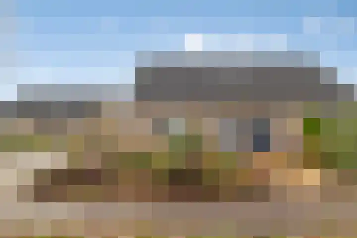 de Weegbree 38 Gieten thumbnail 30