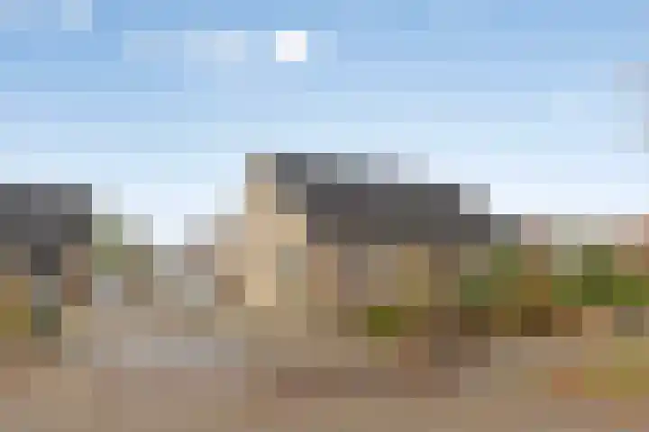de Weegbree 38 Gieten thumbnail 31