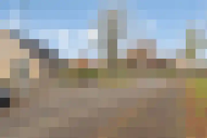 de Weegbree 38 Gieten thumbnail 32