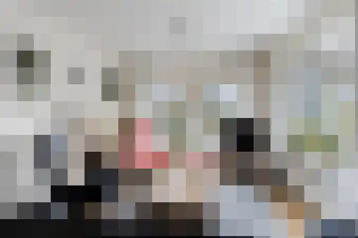 de Weegbree 38 Gieten thumbnail 4