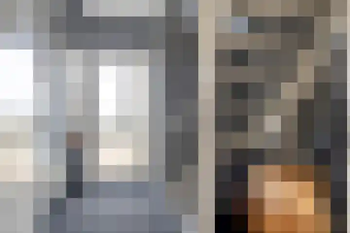 de Weegbree 38 Gieten thumbnail 8