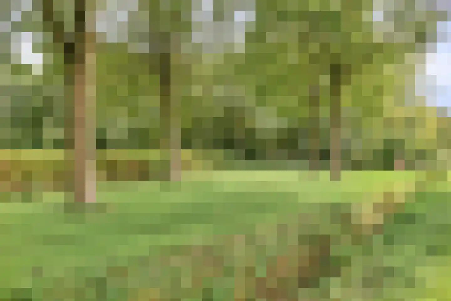 de Weegbree 82 Gieten thumbnail 10