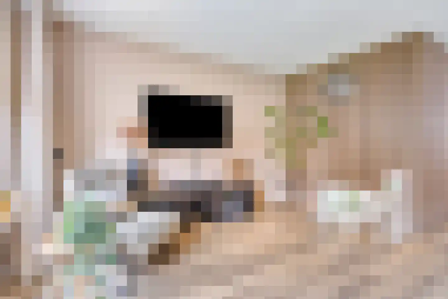 de Weegbree 82 Gieten thumbnail 14