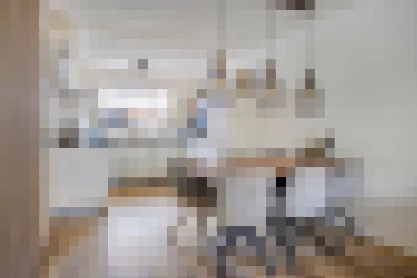 de Weegbree 82 Gieten thumbnail 16