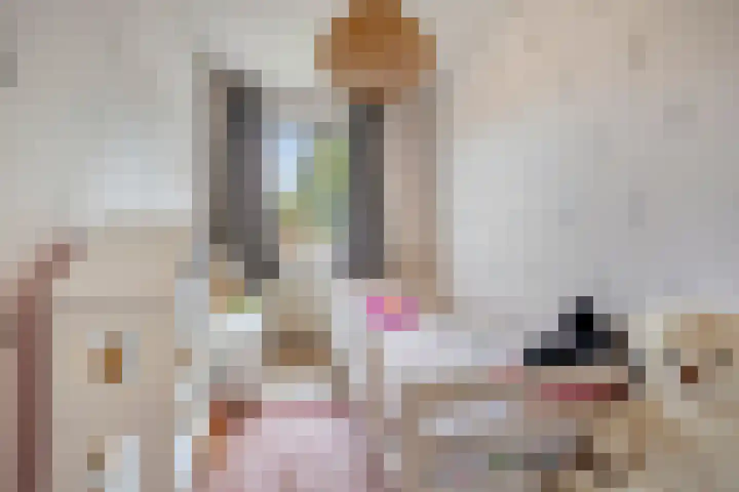 de Weegbree 82 Gieten thumbnail 27
