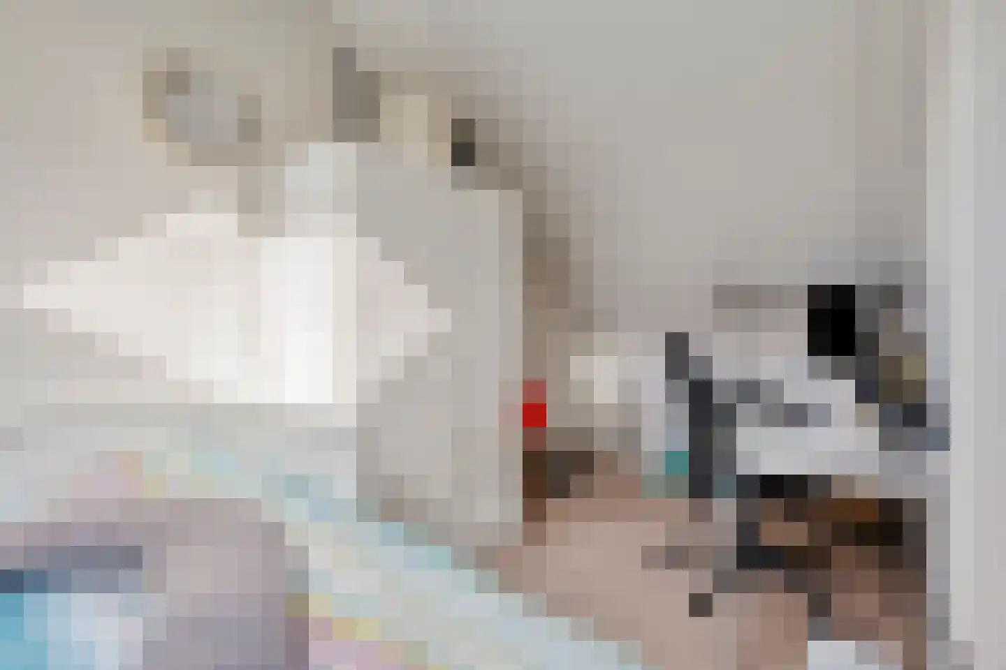 de Weegbree 82 Gieten thumbnail 30