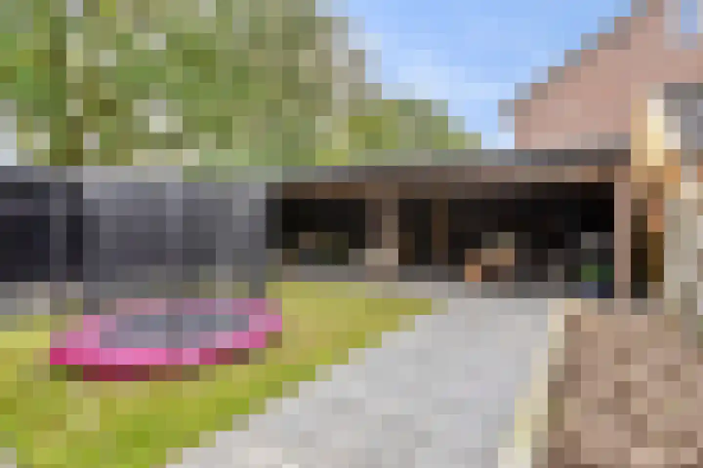 de Weegbree 82 Gieten thumbnail 31