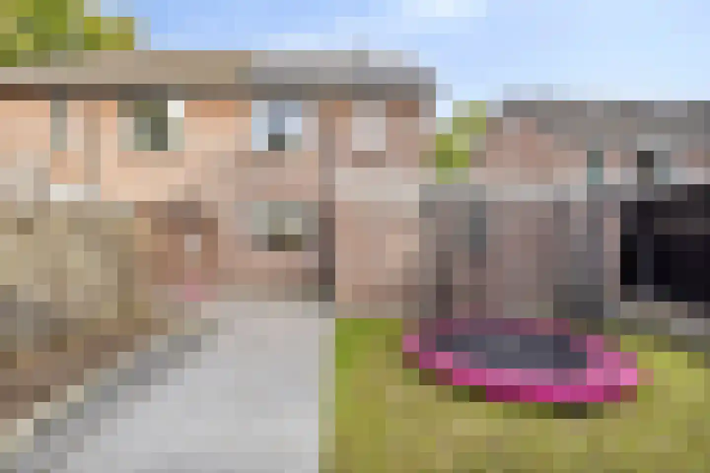 de Weegbree 82 Gieten thumbnail 32