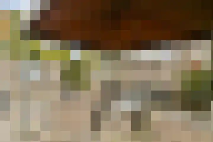 De Weel 16 Hoorn thumbnail 12