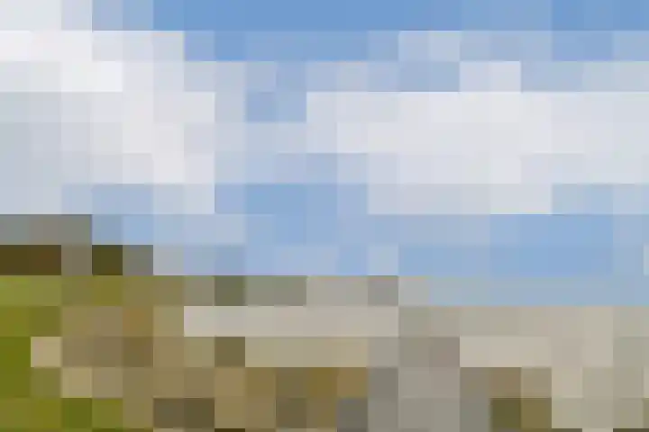 De Weel 16 Hoorn thumbnail 21