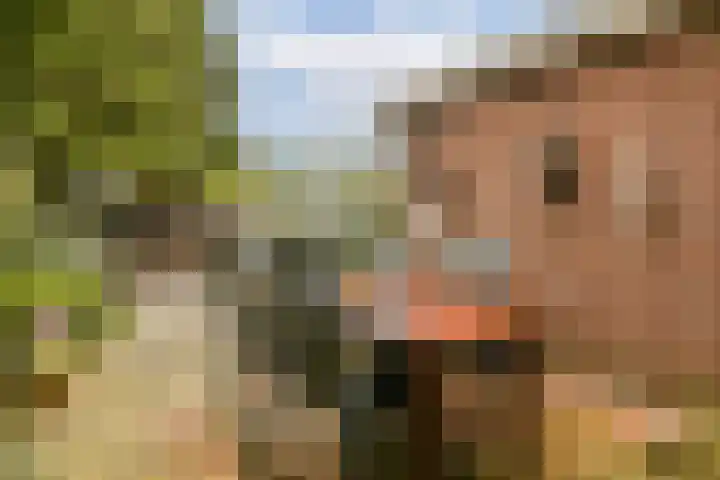 De Weel 16 Hoorn thumbnail 9