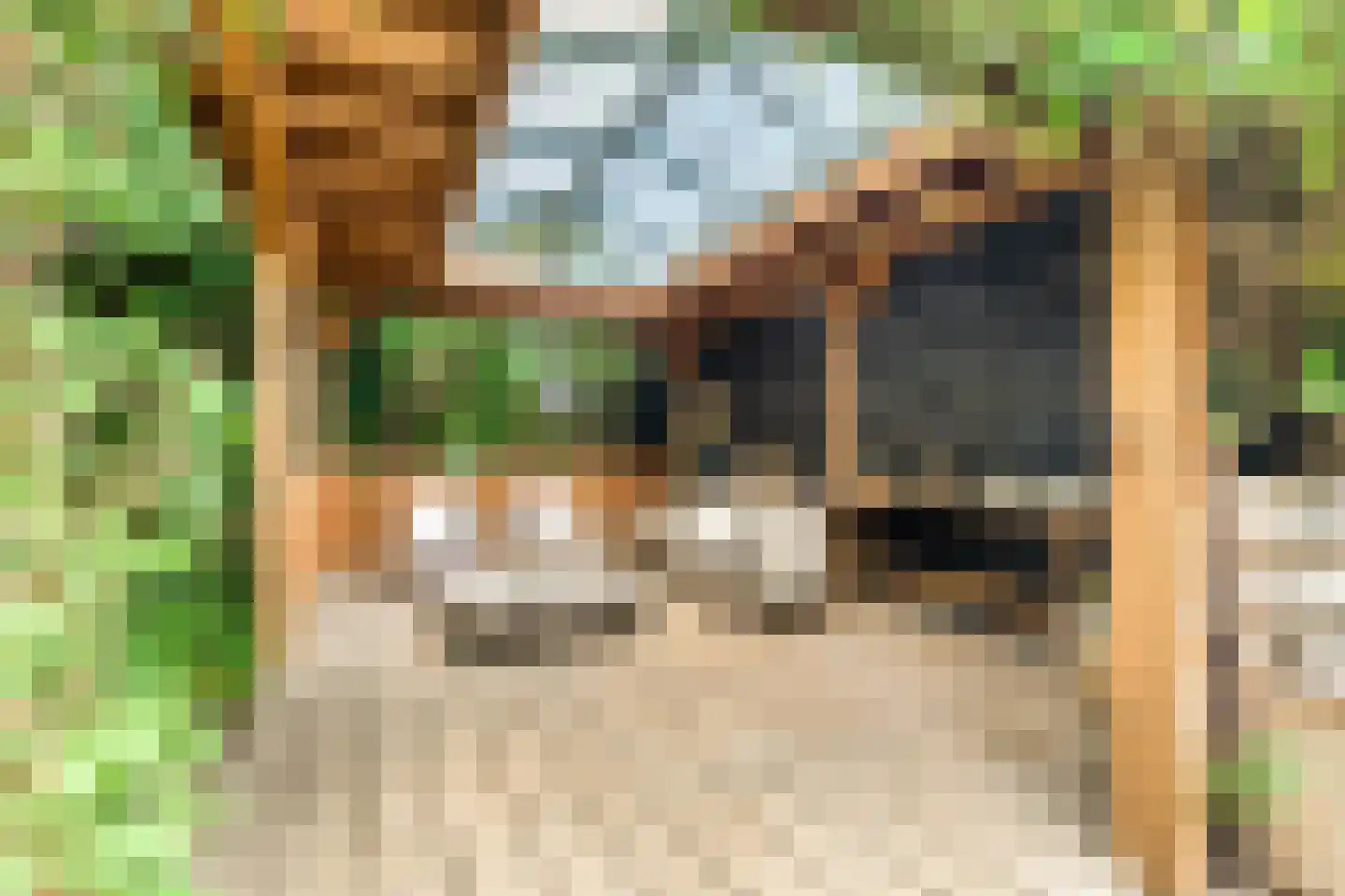 De Weel 20 Hoorn thumbnail 31