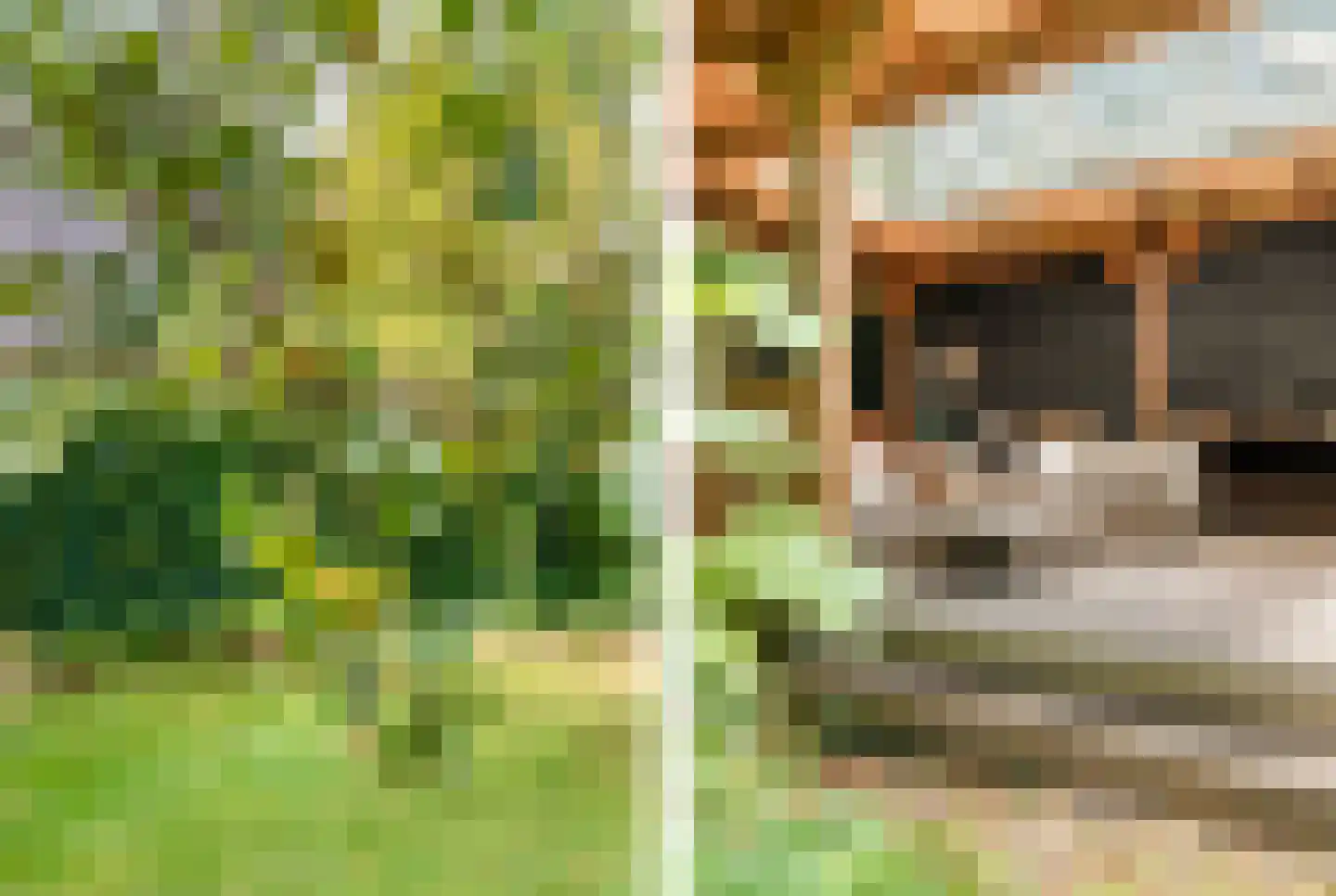 De Weel 20 Hoorn thumbnail 32