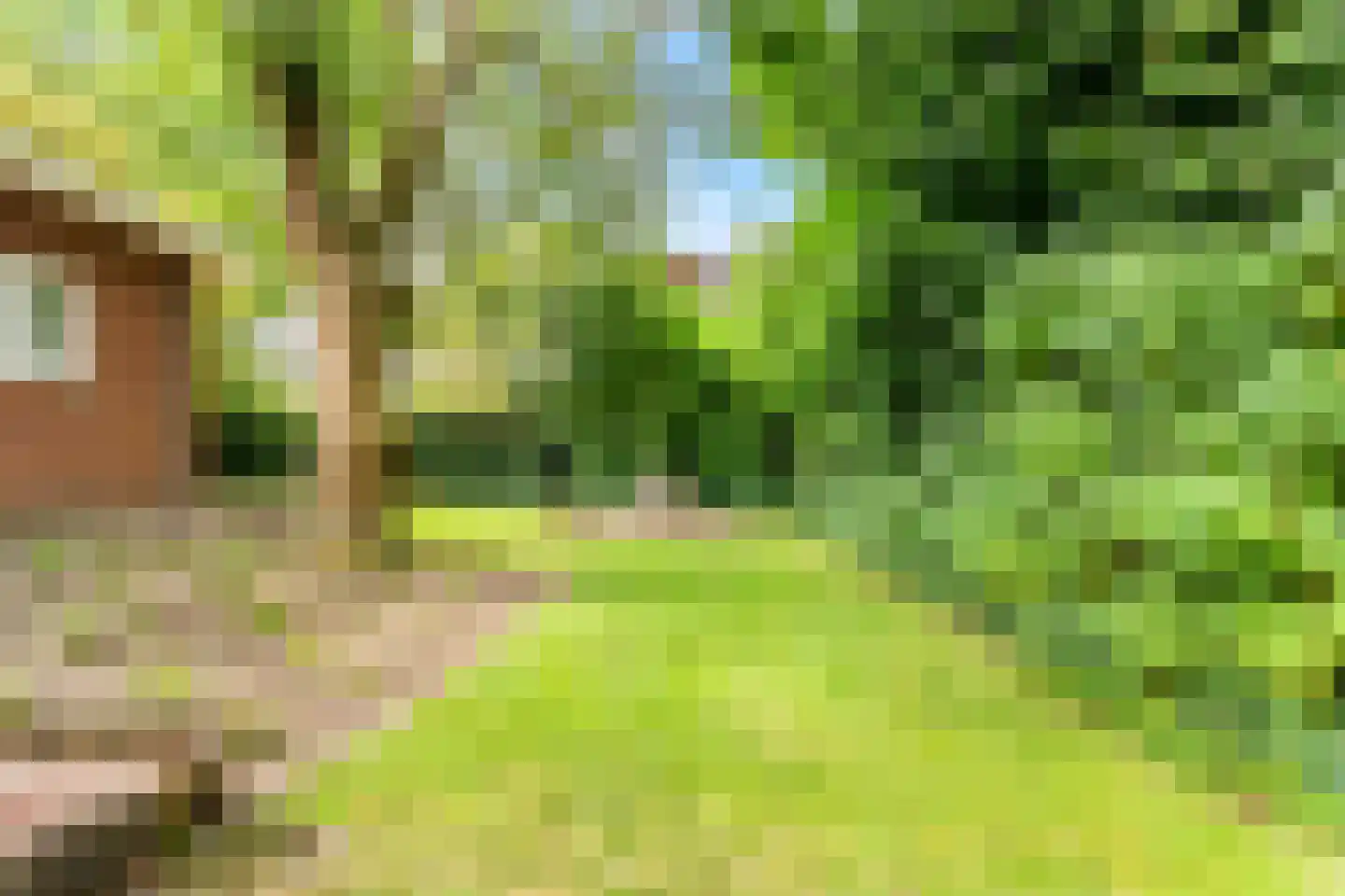 De Weel 20 Hoorn thumbnail 33