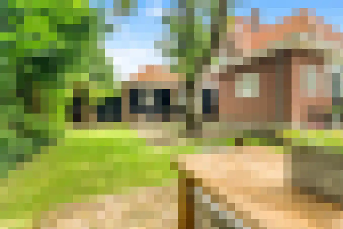 De Weel 20 Hoorn thumbnail 34