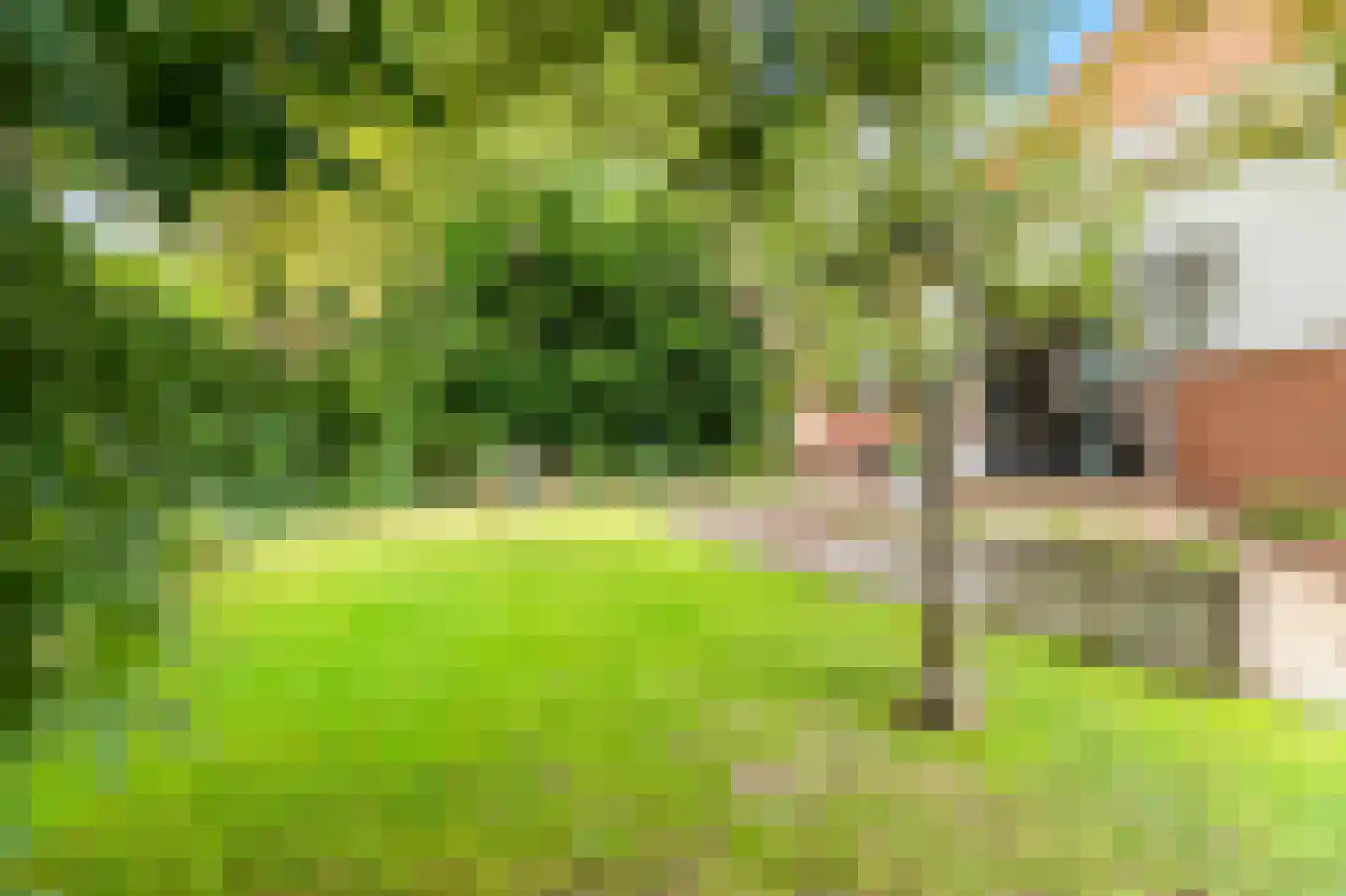 De Weel 20 Hoorn thumbnail 36