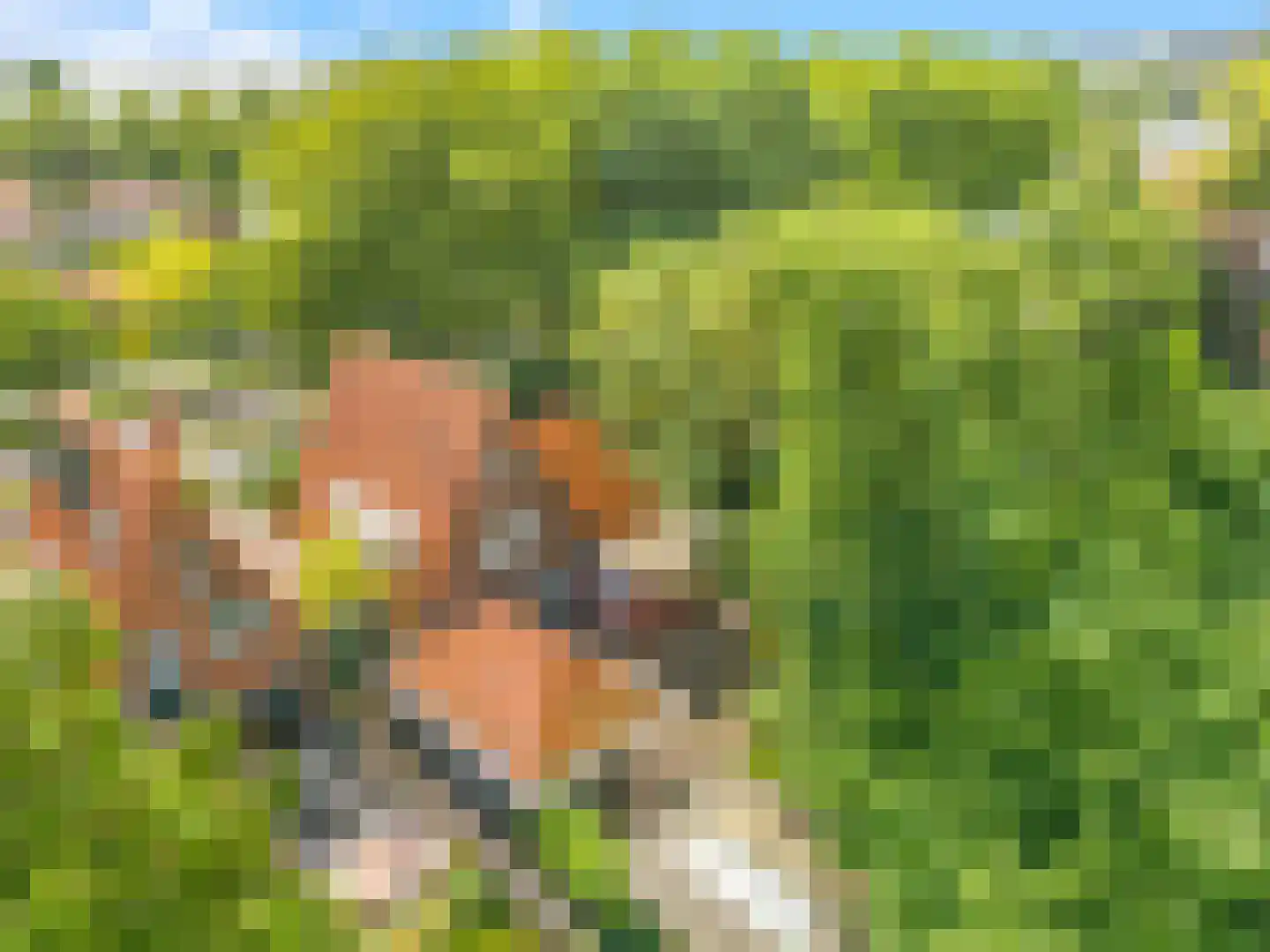 De Weel 20 Hoorn thumbnail 39