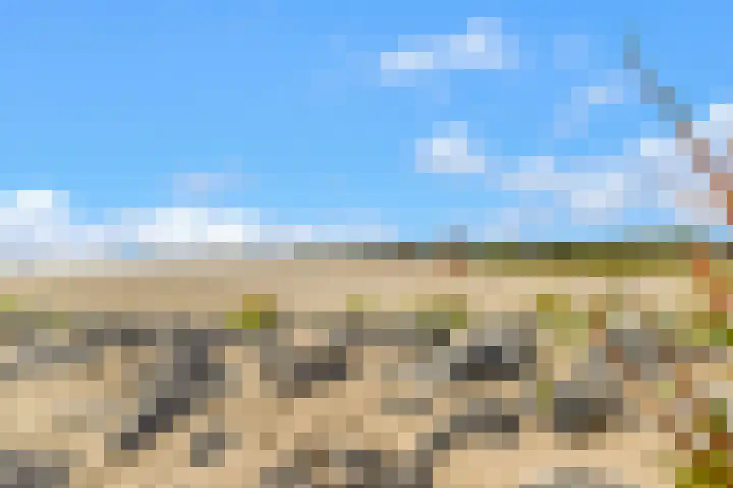 De Weel 20 Hoorn thumbnail 42