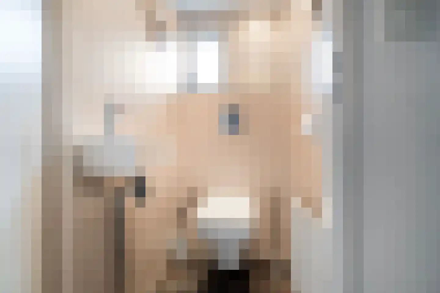 De Weel 22 Hippolytushoef thumbnail 10