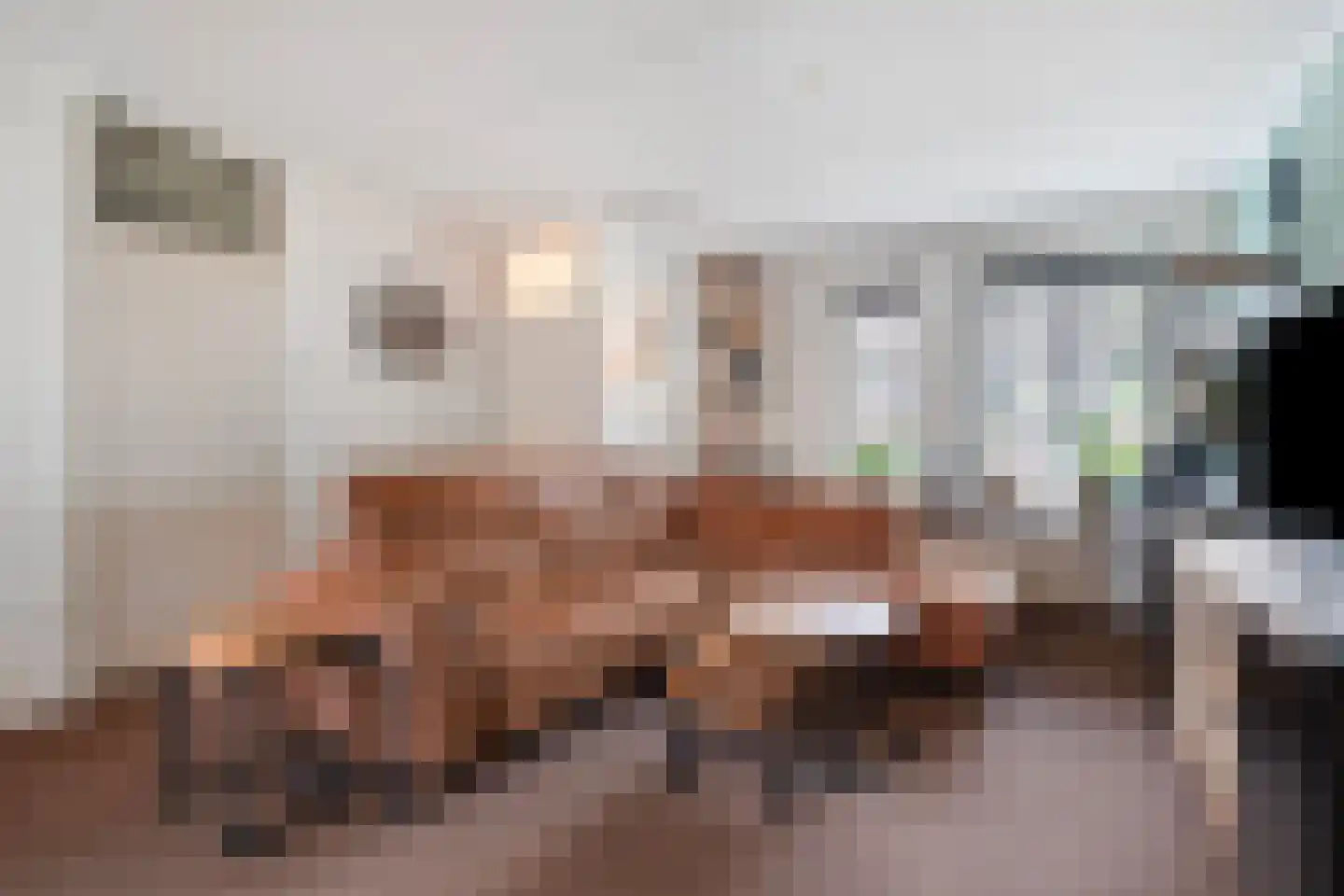 De Weel 22 Hippolytushoef thumbnail 12