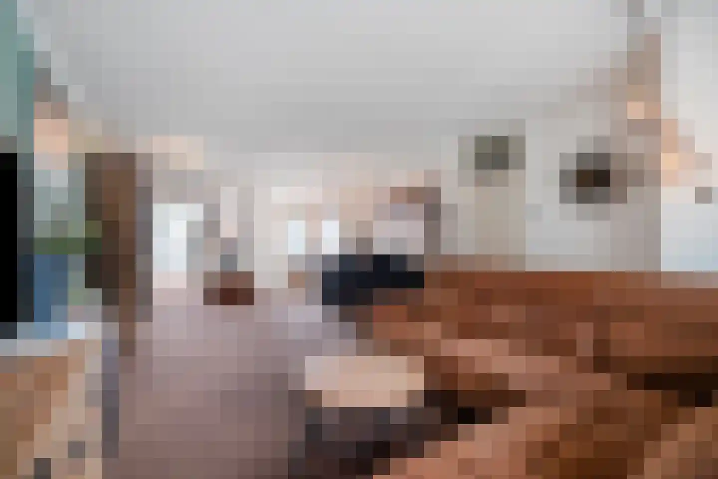 De Weel 22 Hippolytushoef thumbnail 14