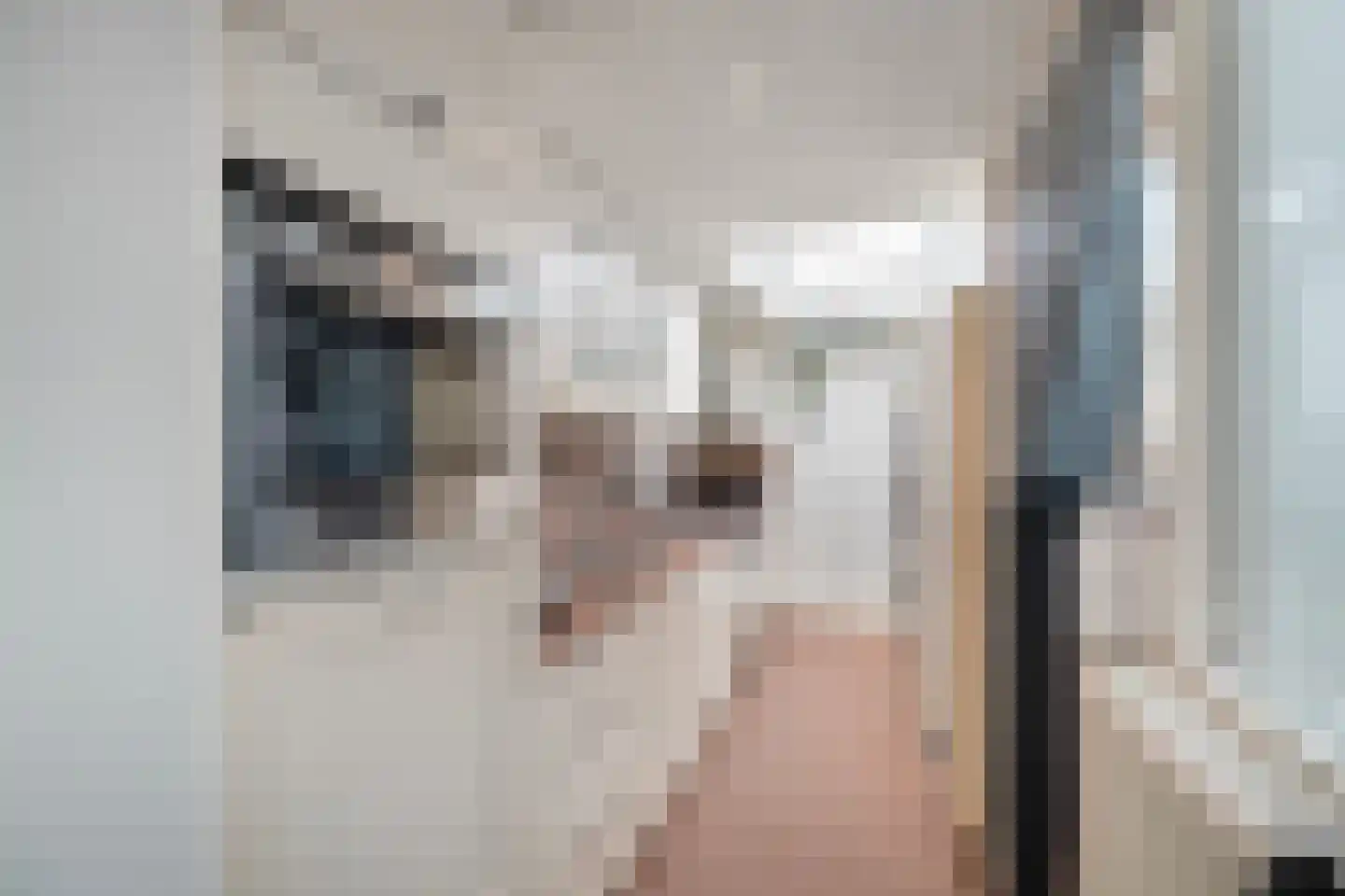De Weel 22 Hippolytushoef thumbnail 18