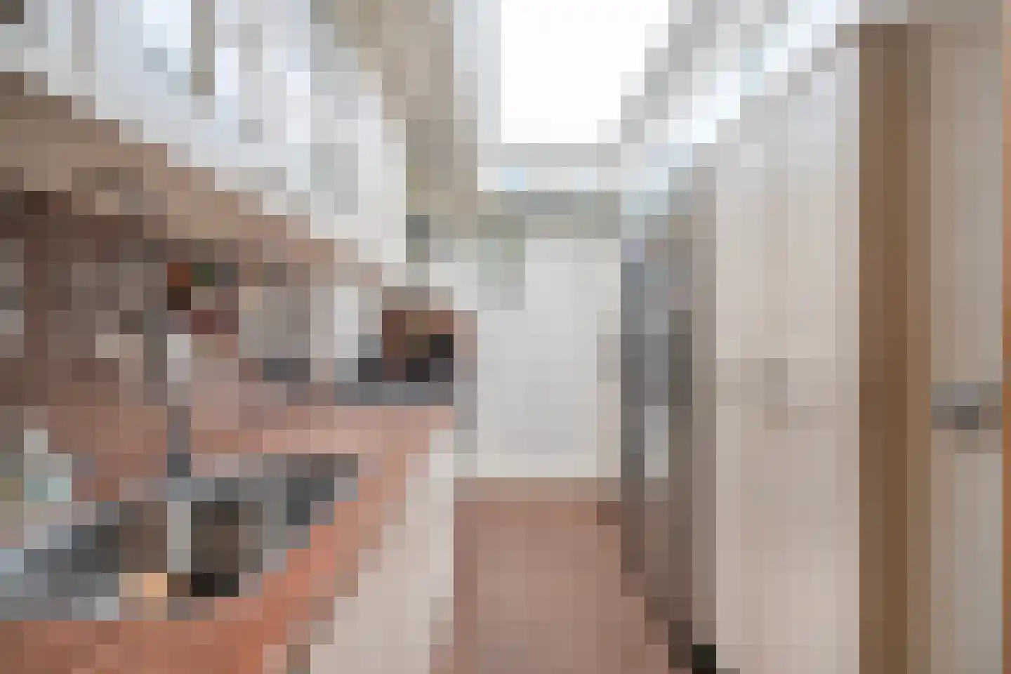 De Weel 22 Hippolytushoef thumbnail 19