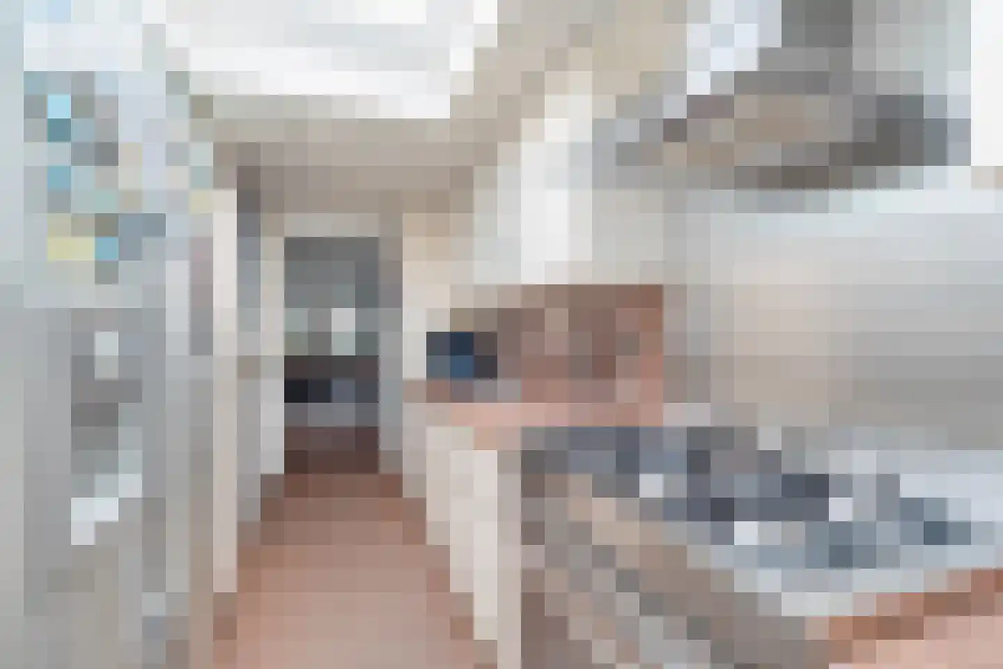 De Weel 22 Hippolytushoef thumbnail 20