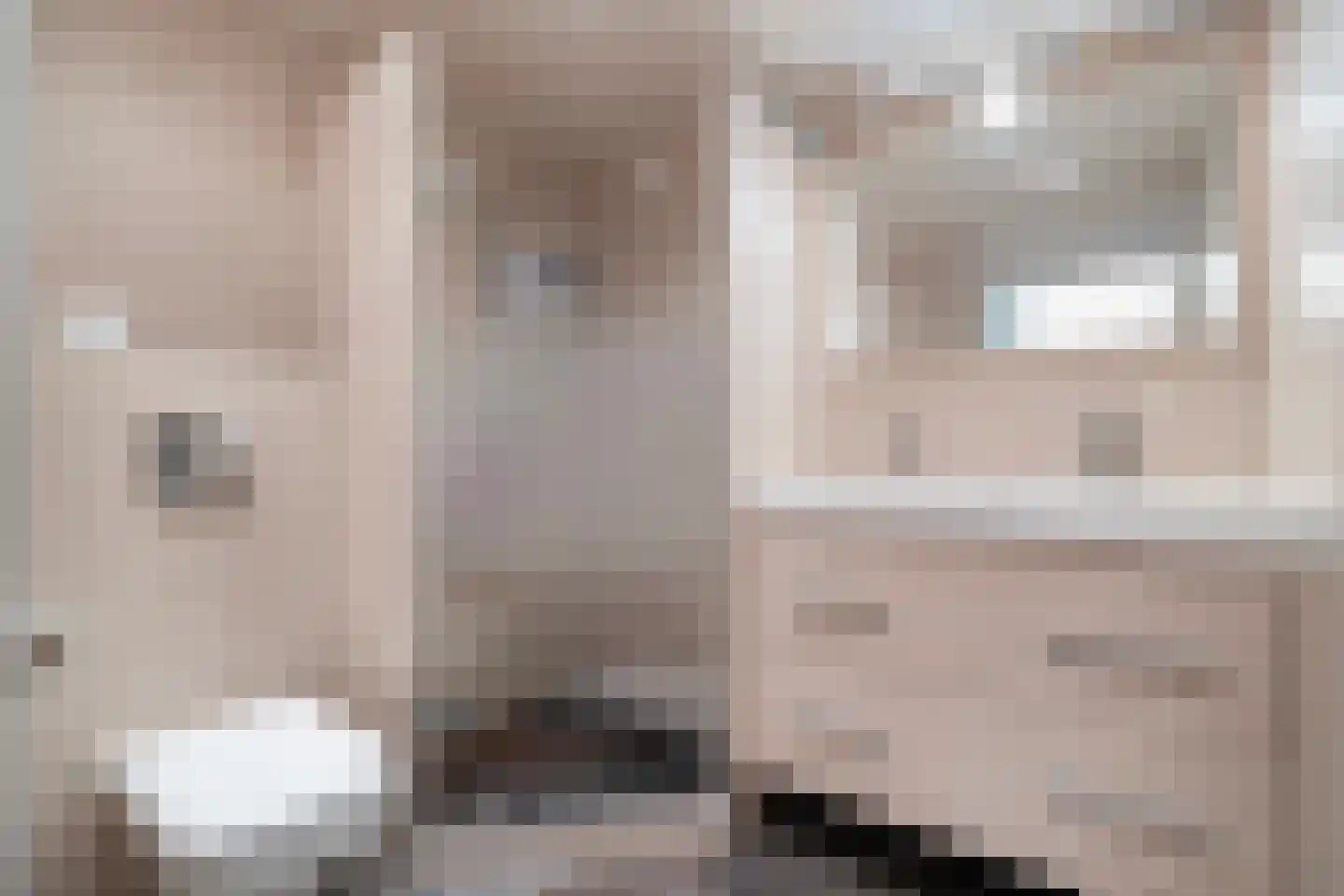 De Weel 22 Hippolytushoef thumbnail 26