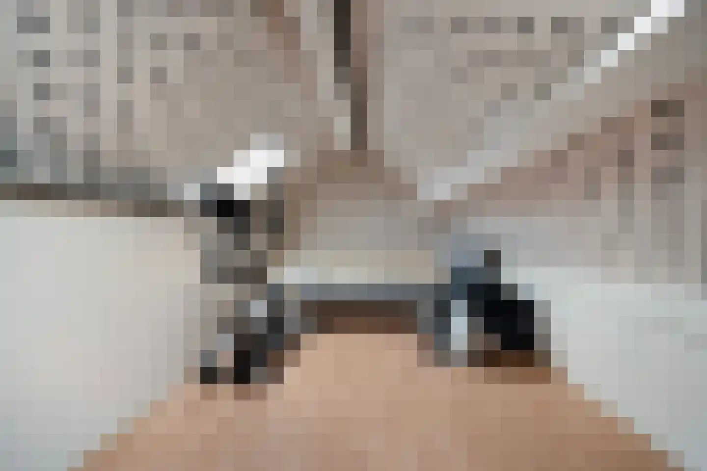 De Weel 22 Hippolytushoef thumbnail 29