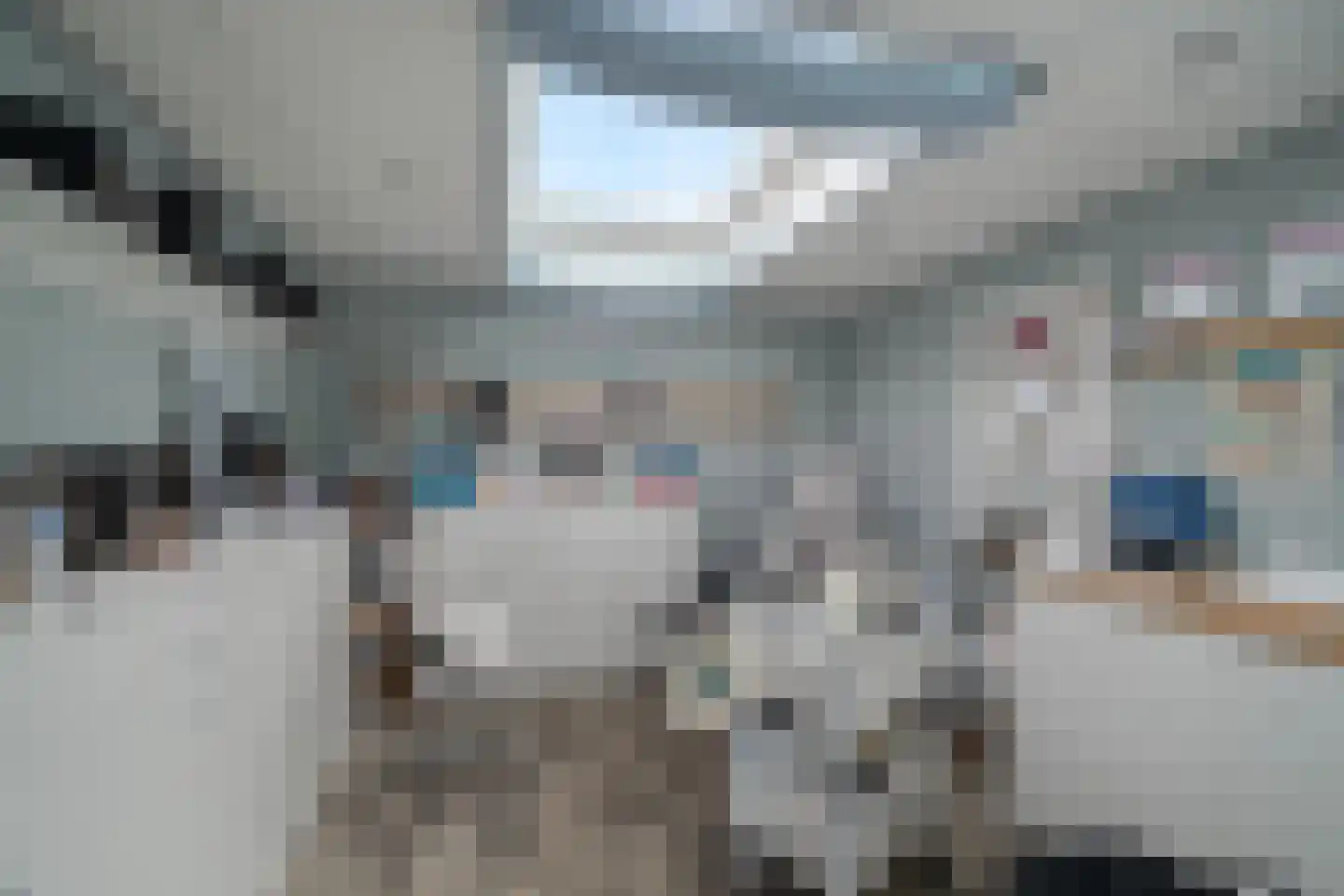 De Weel 22 Hippolytushoef thumbnail 33