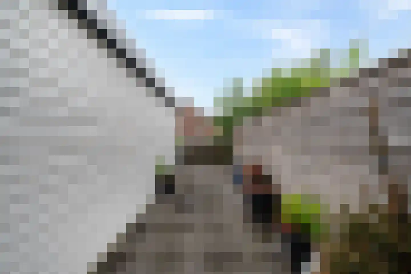 De Weel 22 Hippolytushoef thumbnail 36