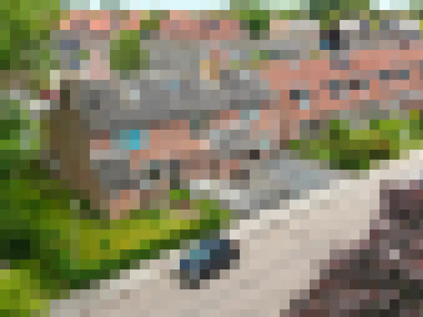 De Weel 22 Hippolytushoef thumbnail 38