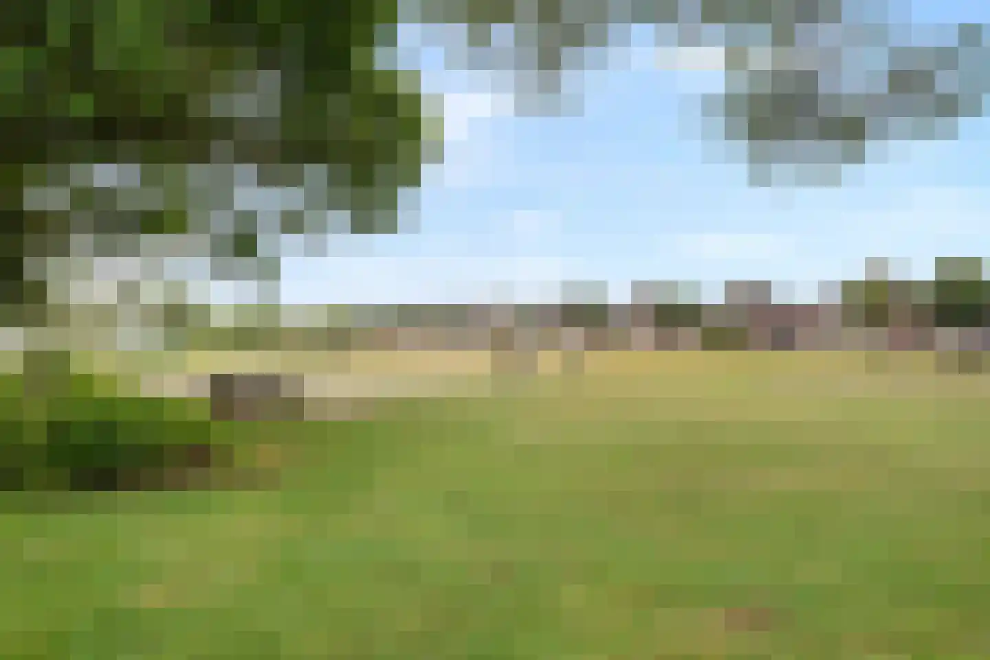 De Weel 22 Hippolytushoef thumbnail 4