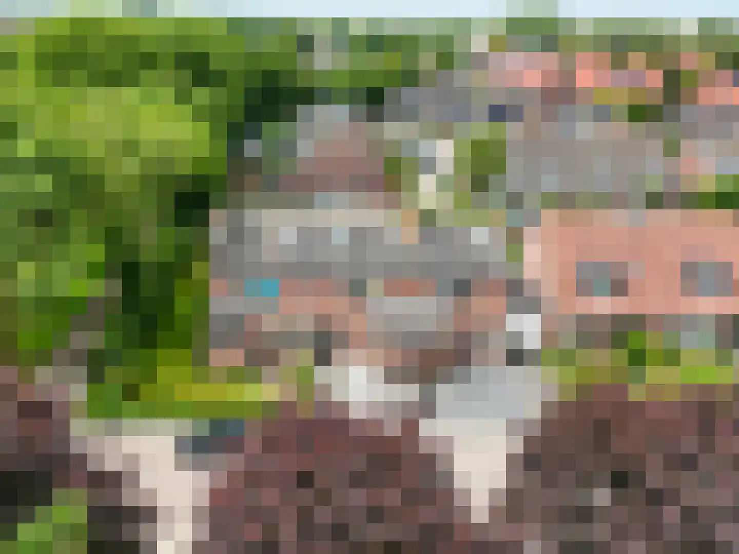 De Weel 22 Hippolytushoef thumbnail 5