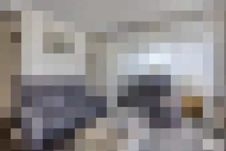 De Weel 22 Zijdewind thumbnail 10