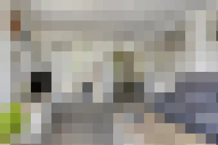 De Weel 22 Zijdewind thumbnail 11
