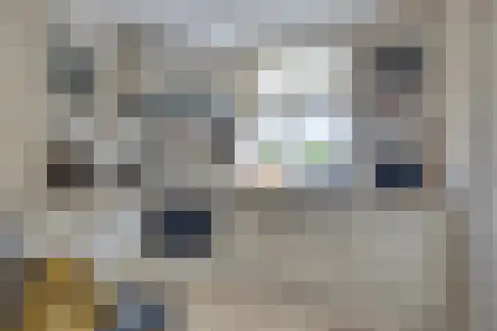 De Weel 22 Zijdewind thumbnail 15