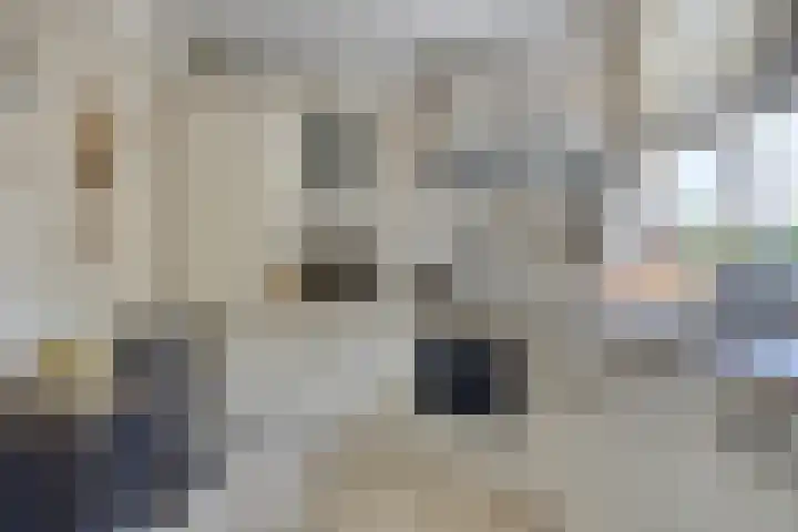 De Weel 22 Zijdewind thumbnail 16